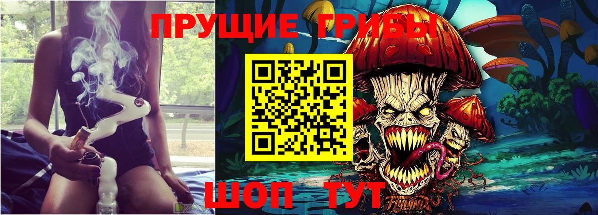 Майкоп  Галлюциногенные грибы GOLDEN TEACHER  Вход с VPN 